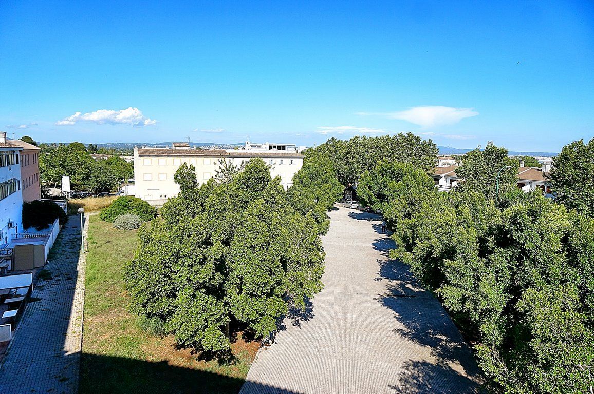 Piso en alquiler con terraza en Palma de Mallorca · 115 m²