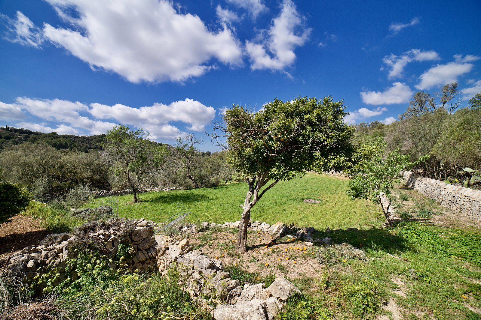 Centuries-Old Stone Farmhouse for Sale Near Es Carritxó, Felanitx