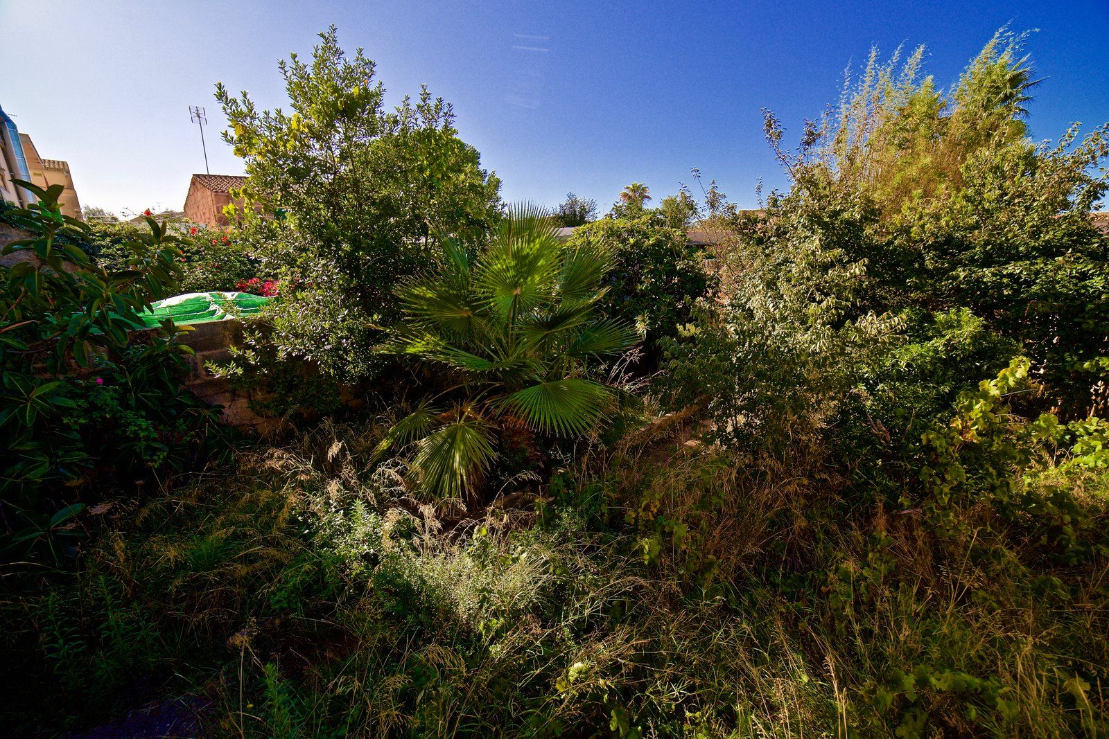 Stadthaus mit Garten und Garage in Campos, Mallorca