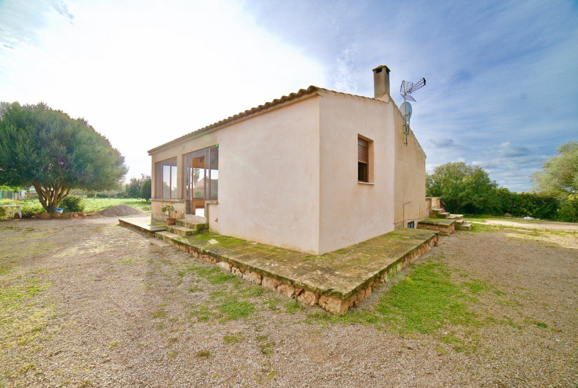 Country House for Rent Near Ses Salines, Campos, Mallorca