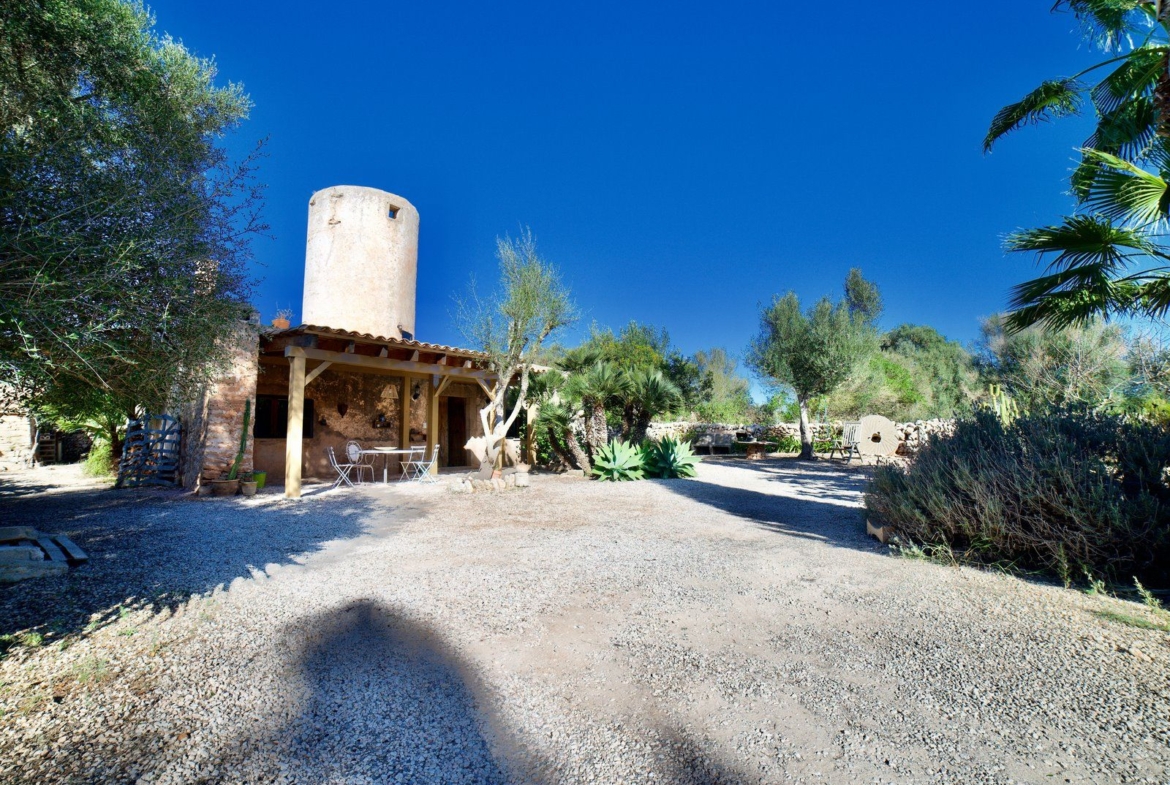 Restored Windmill with Garden, Pool & Guest House in Ses Salines