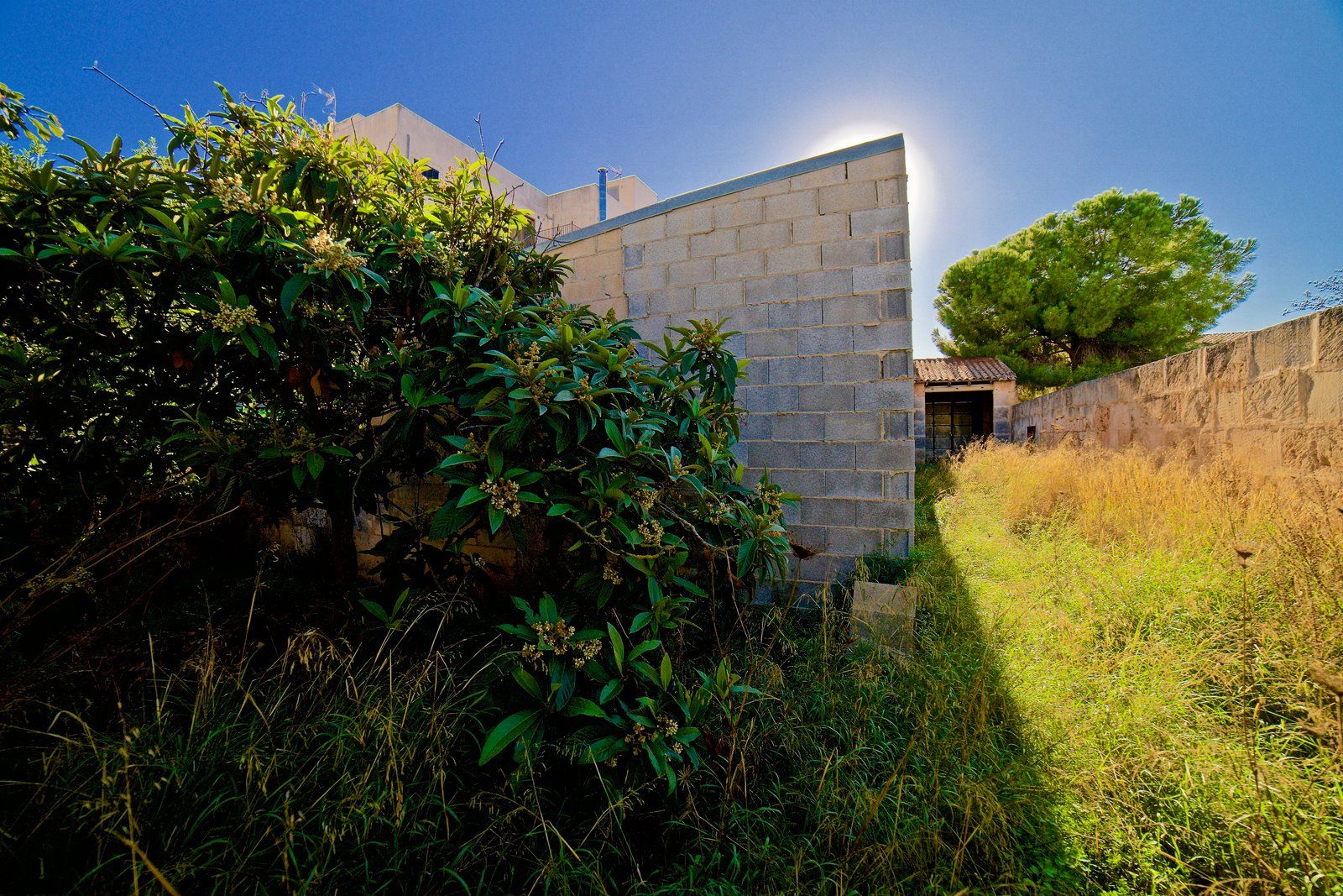 Stadthaus mit Garten und Garage in Campos, Mallorca