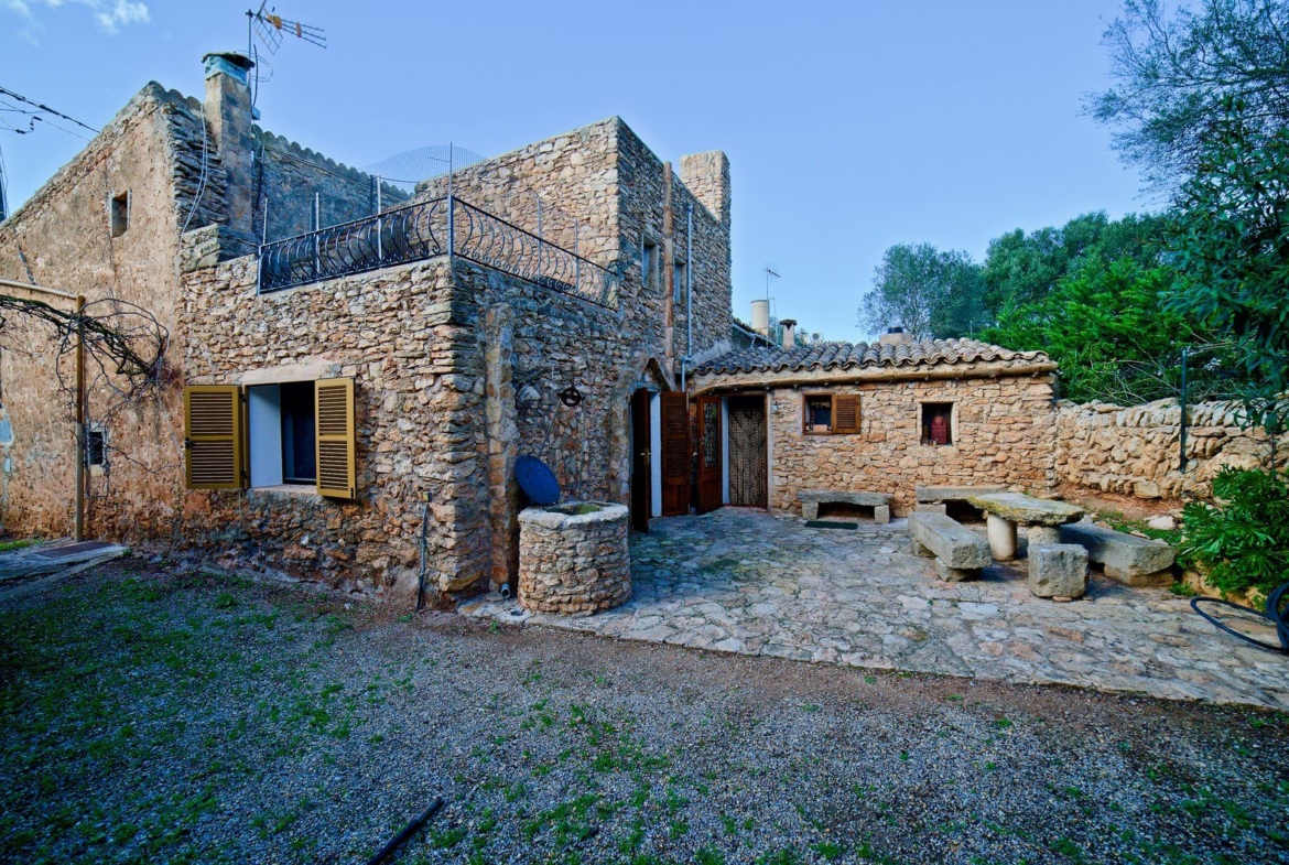 Charming Village House for Rent in Ses Salines with Garden