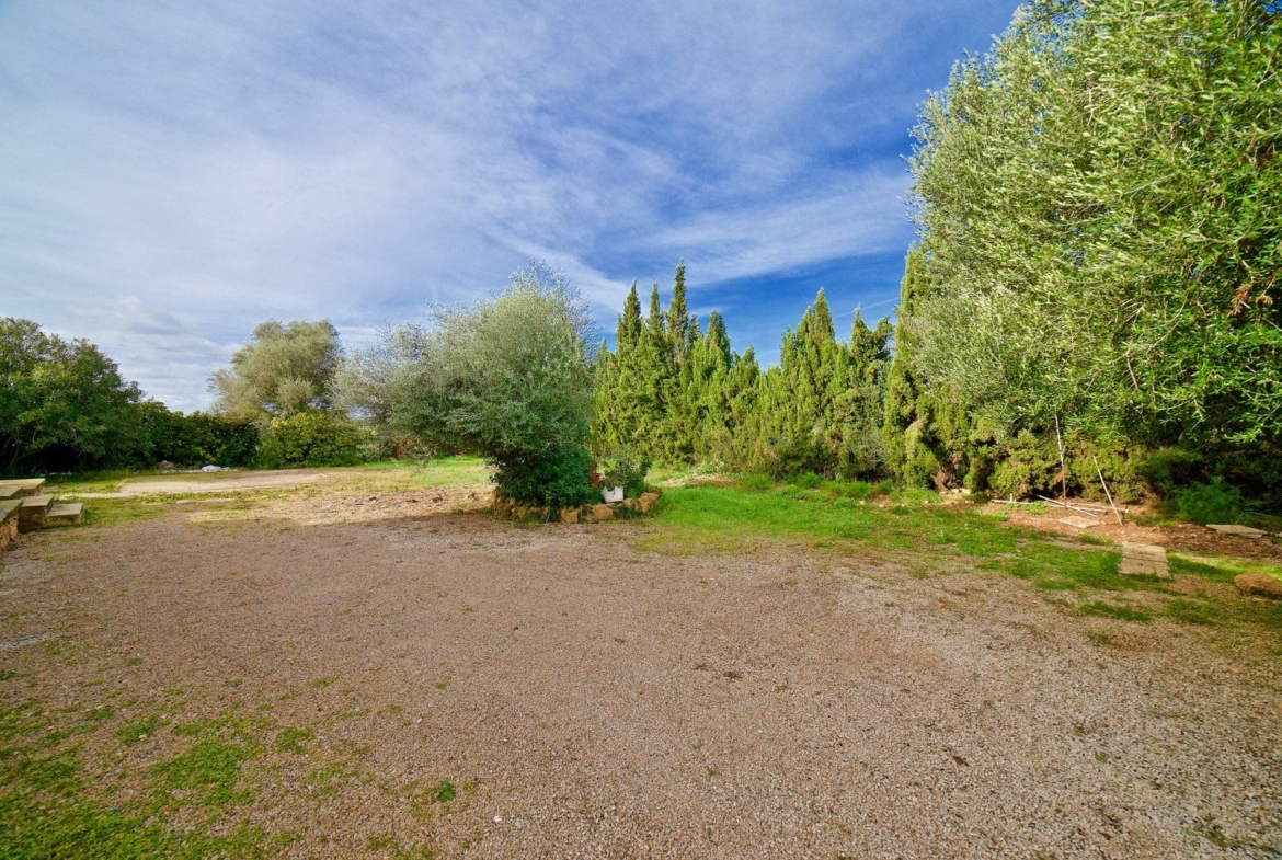 Country House for Rent Near Ses Salines, Campos, Mallorca