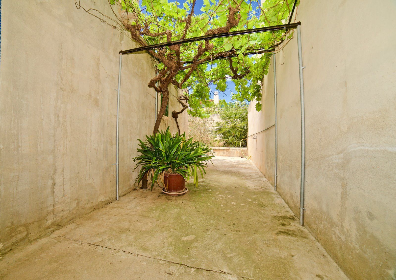27-Villasyfincasmallorca-2.jpg Dorfhaus zur Miete in Ses Salines mit Innenhof