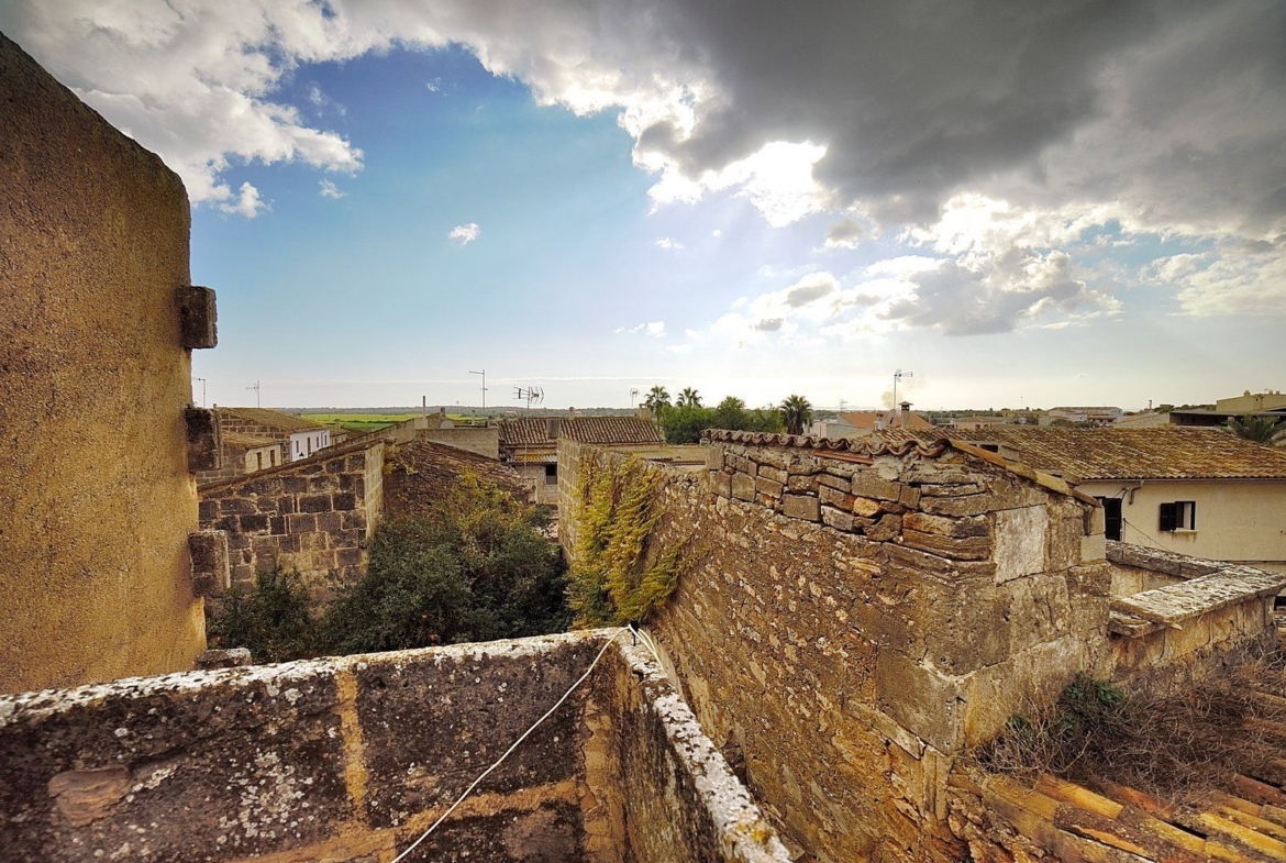 Casa de pueblo con jardín en Ses Salines, 3 dormitorios