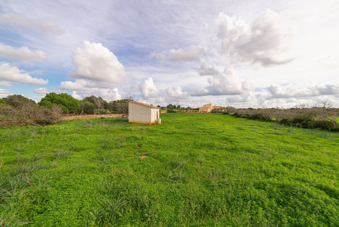 Country Cottage with Large Plot Near Ses Salines, Santanyí