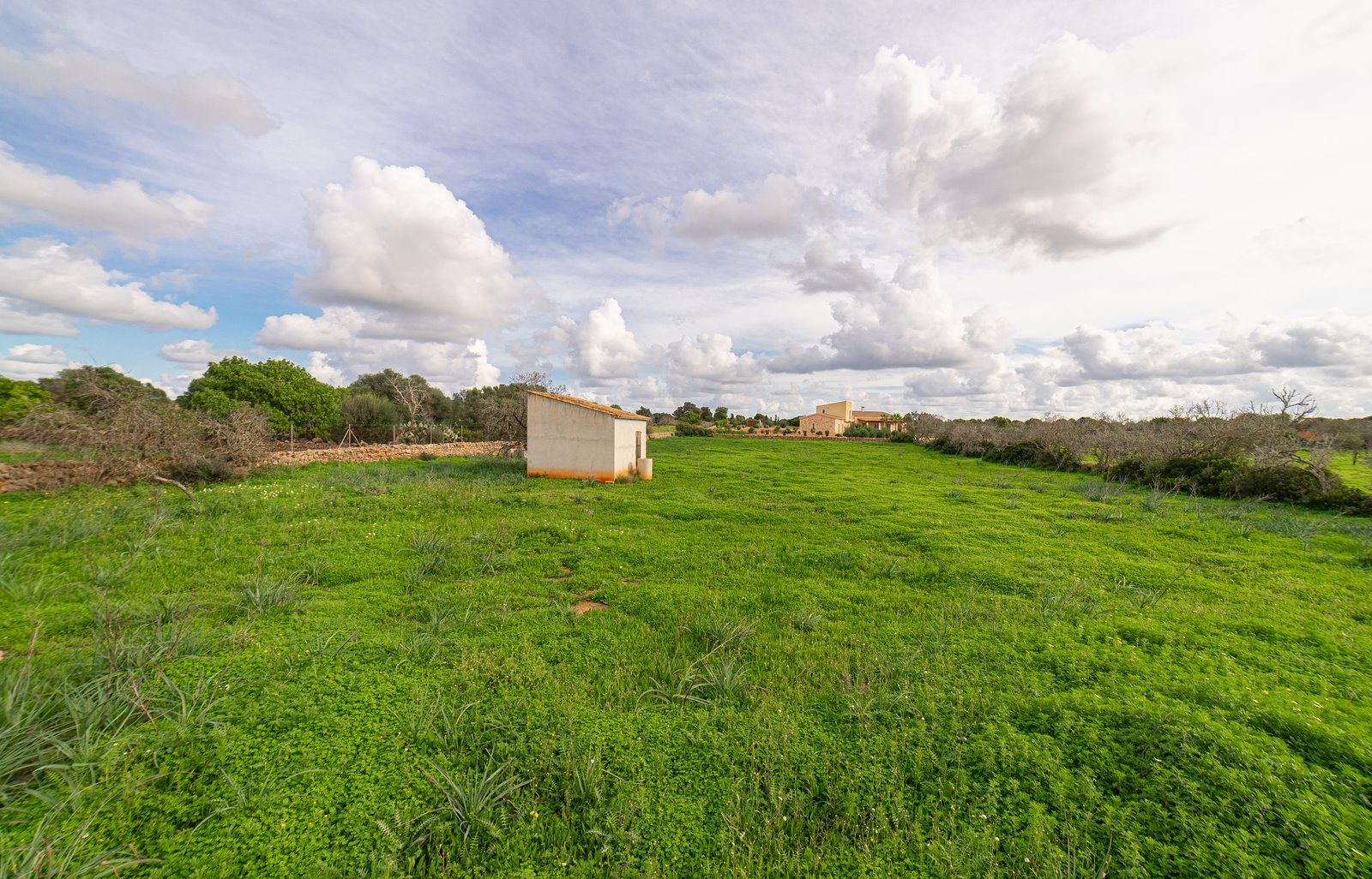 3-1233-Villasyfincasmallorca.jpg Country Cottage with Large Plot Near Ses Salines, Santanyí