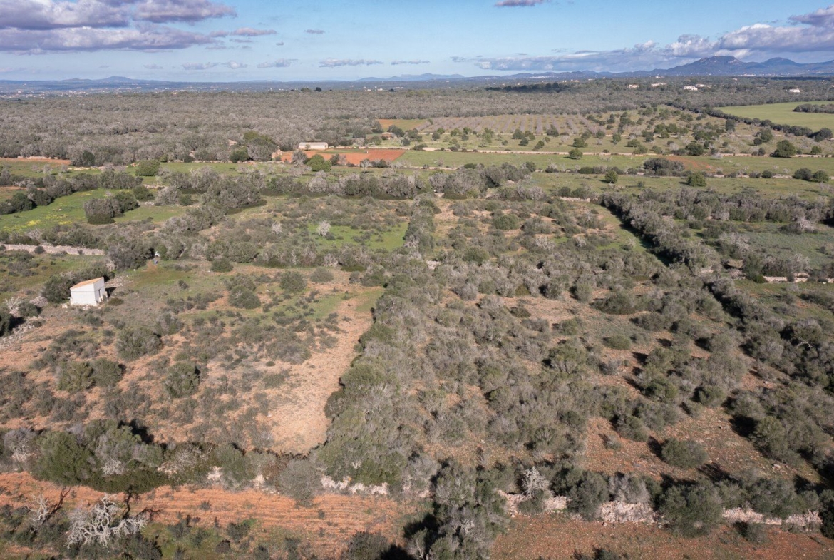 Baugrundstück 14.100 m² bei Ses Salines, Südmallorca
