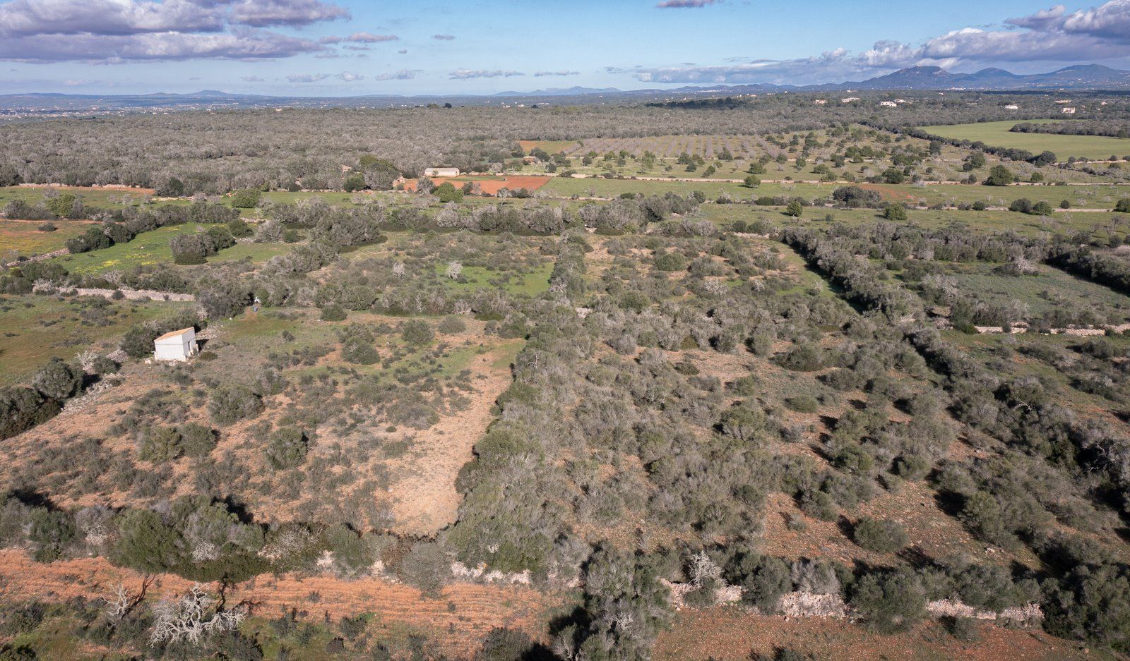 Baugrundstück 14.100 m² bei Ses Salines, Südmallorca
