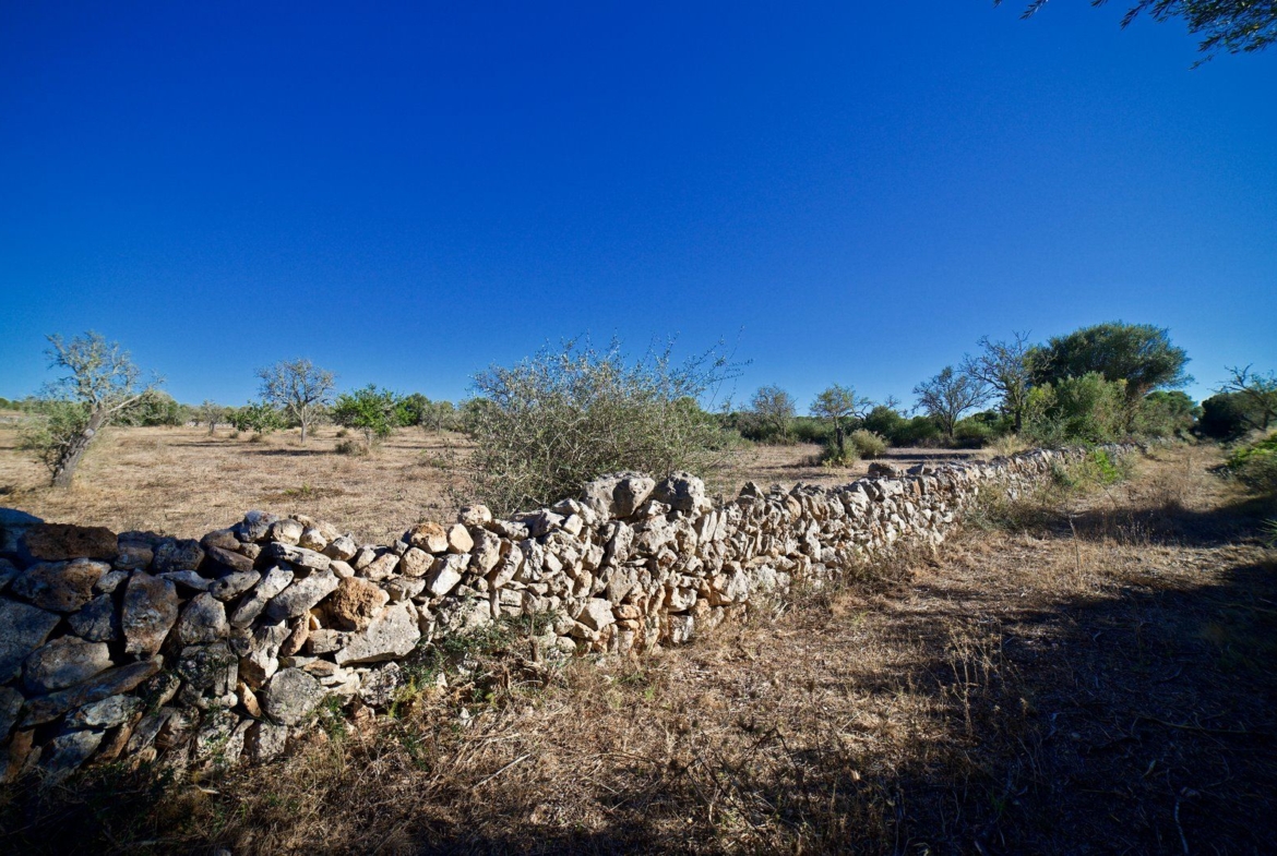 Terreno edificable de 23.000 m² cerca de Ses Salines