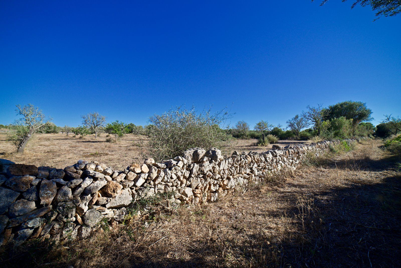 3-2007-Villasyfincasmallorca.jpg Terreno edificable de 23.000 m² cerca de Ses Salines