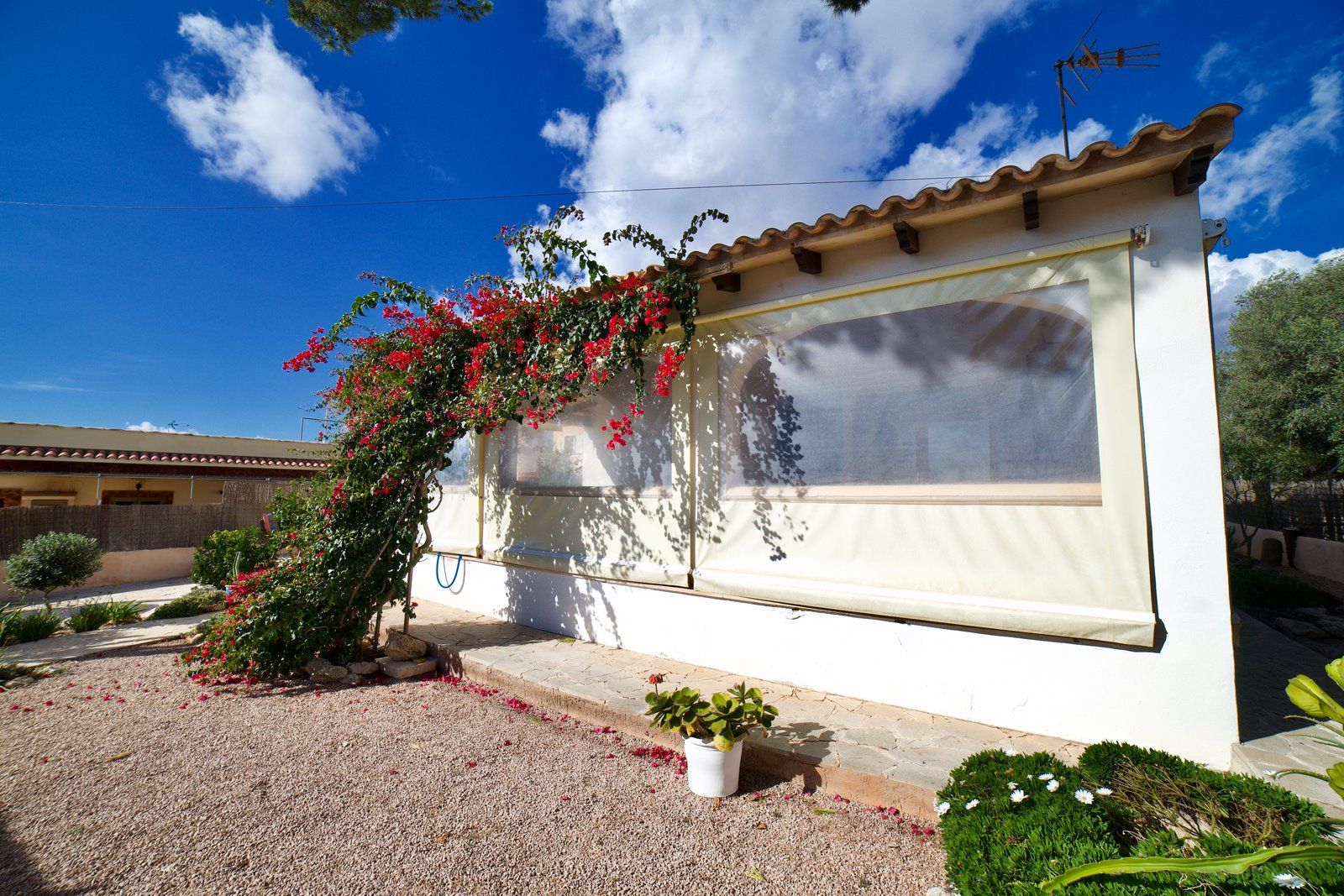 3-2033-Villasyfincasmallorca.jpeg Chalet amueblado en alquiler cerca de Cala Santanyí con jardín