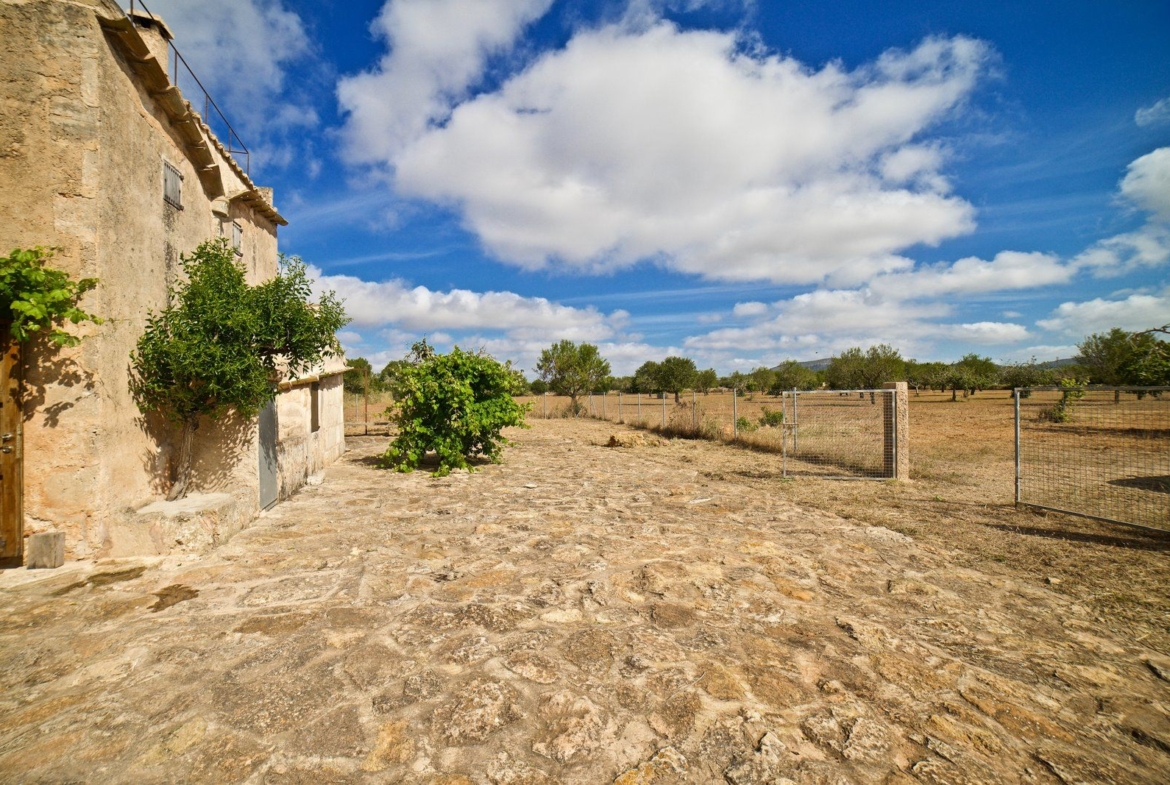 Country House for Rent in Santanyí – Restored Mill on 15,000 m² Estate