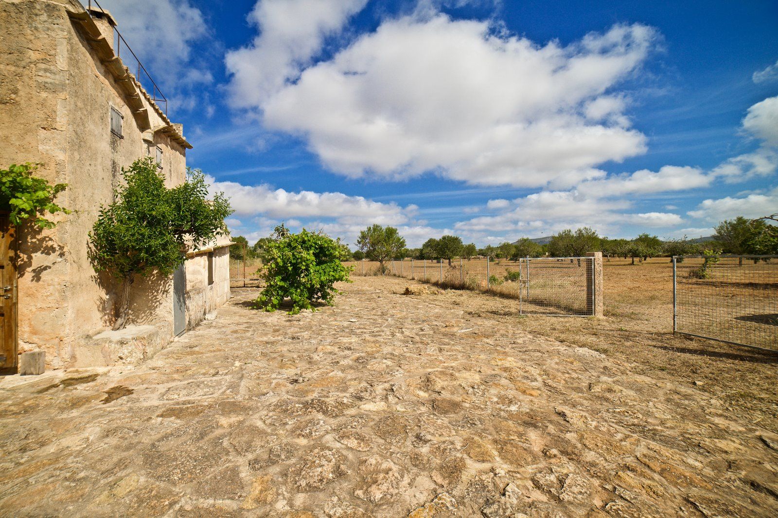 3-909-Villasyfincasmallorca.jpg Country House for Rent in Santanyí – Restored Mill on 15,000 m² Estate