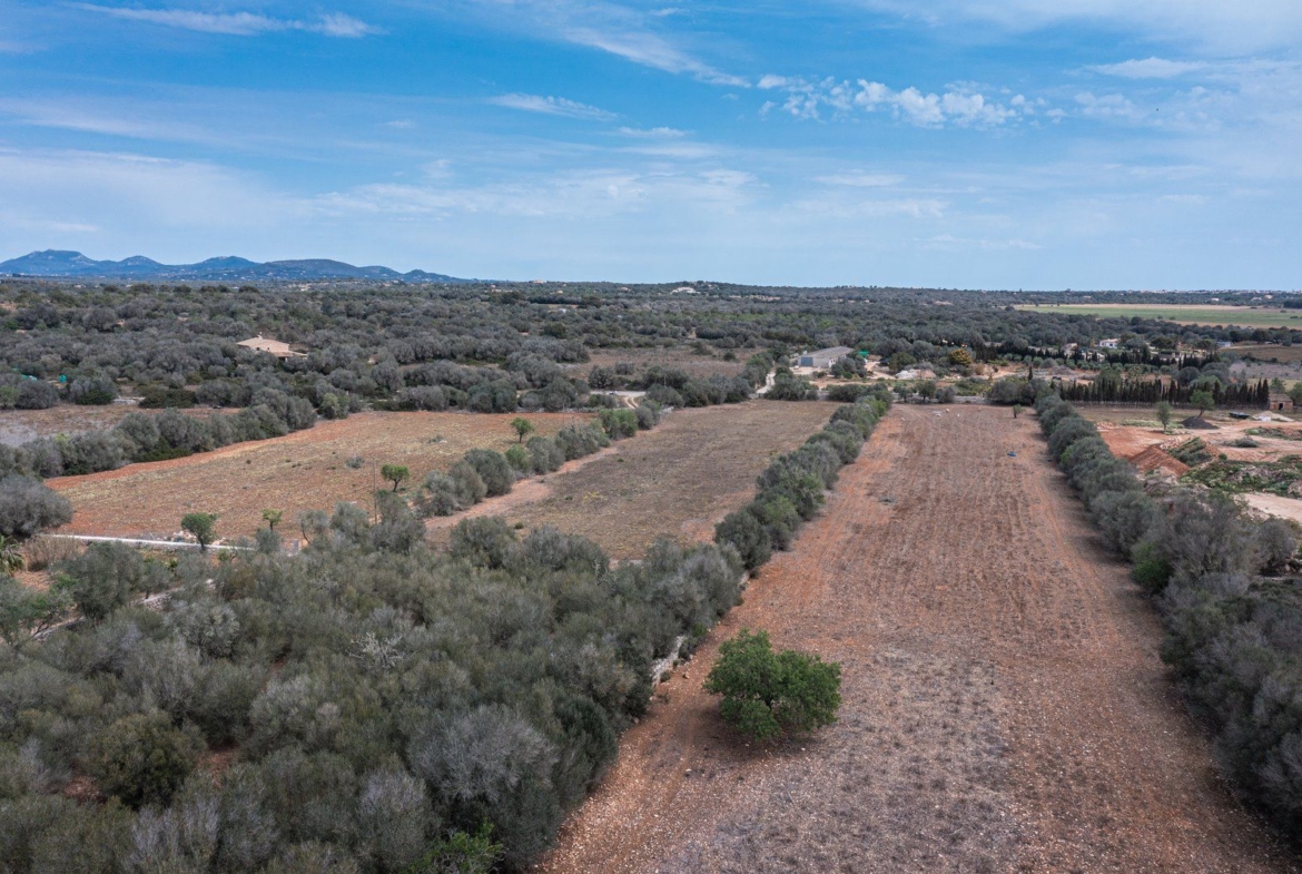 Baugrundstück 26.000 m² bei Ses Salines, Südmallorca