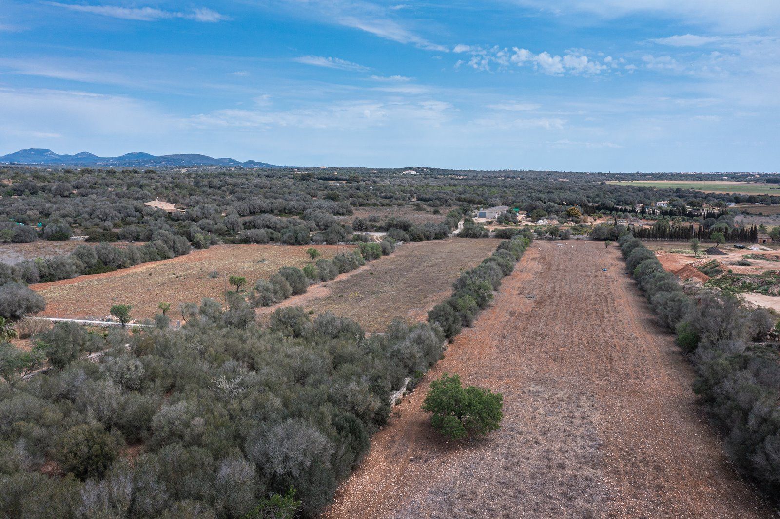 Baugrundstück 26.000 m² bei Ses Salines, Südmallorca