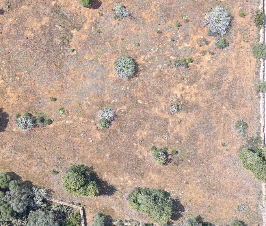 Landhaus zum Renovieren in Ses Salines: Finca-Projekt auf Mallorca