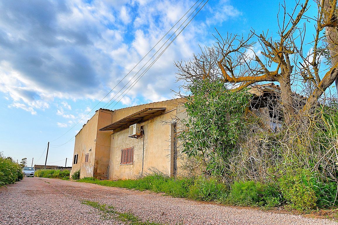 Rustic Finca with Windmill Tower Near Ses Salines