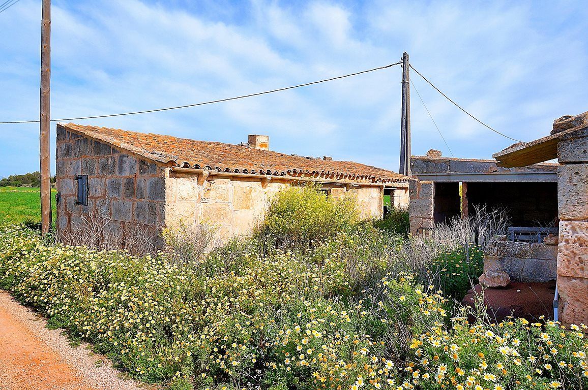 Casa de campo junto a Ses Salines con gran parcela