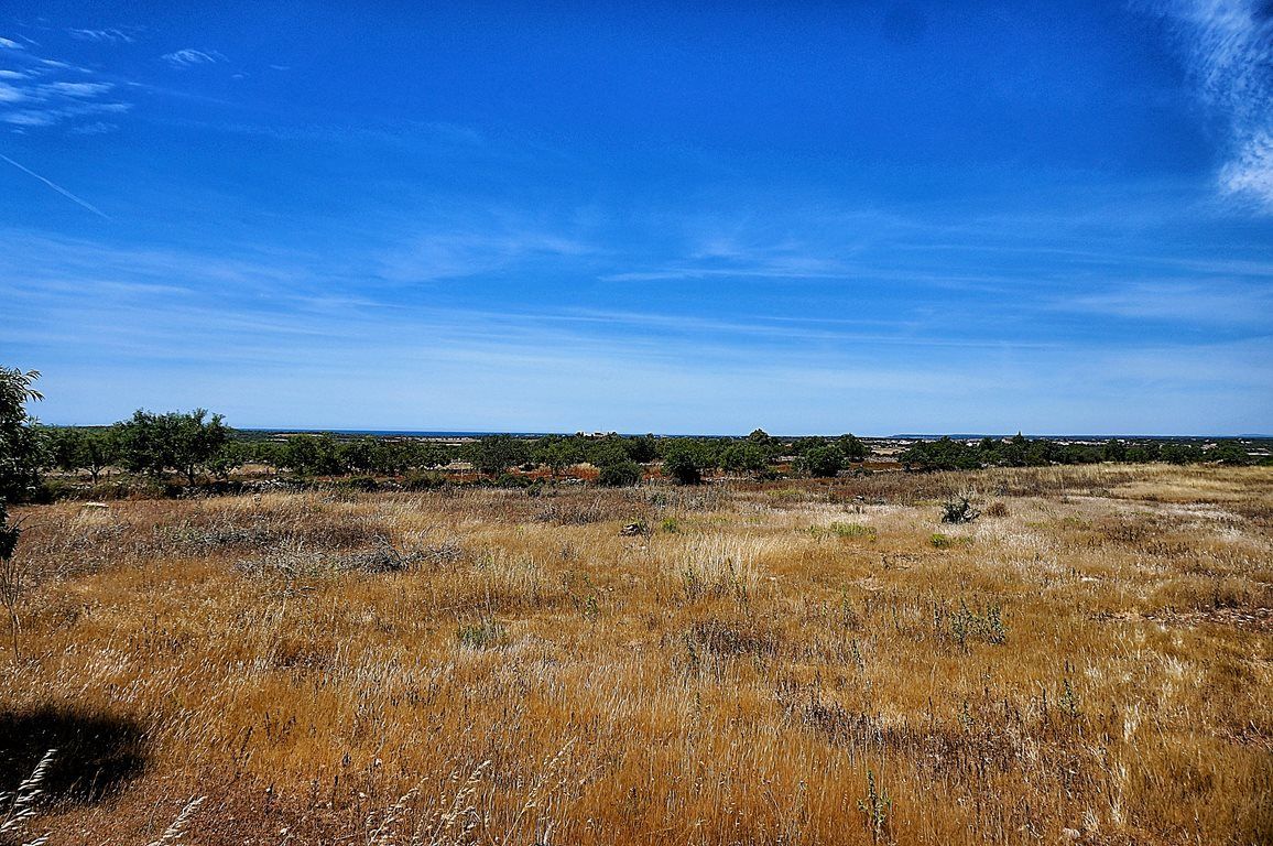 Terreno edificable con vistas al mar en Santanyí, 21.000 m²