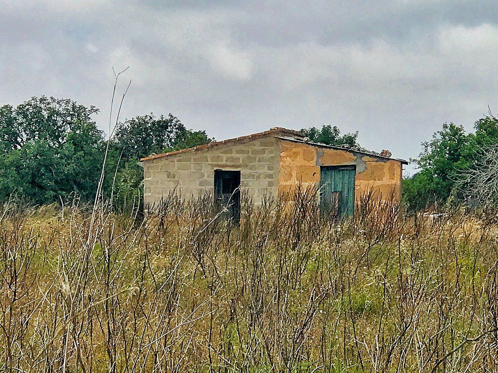 Bauland 28.000 m² bei Ses Salines, Santanyí – Mallorca