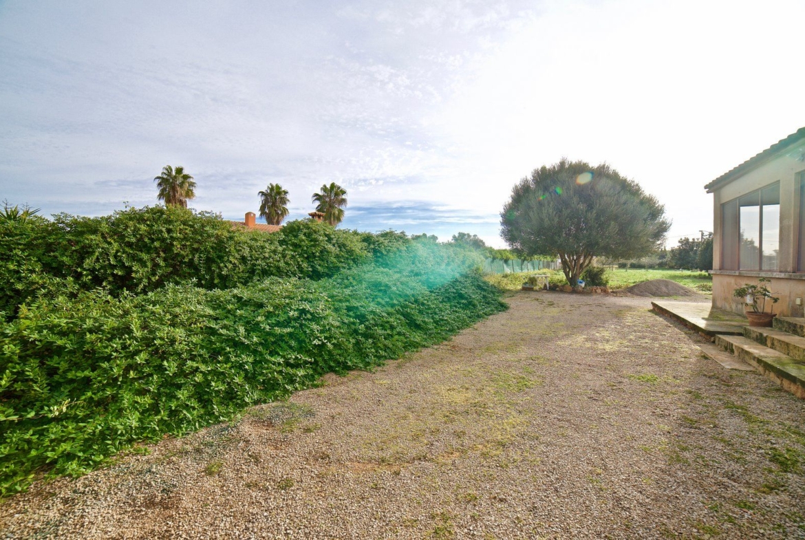 Country House for Rent Near Ses Salines, Campos, Mallorca