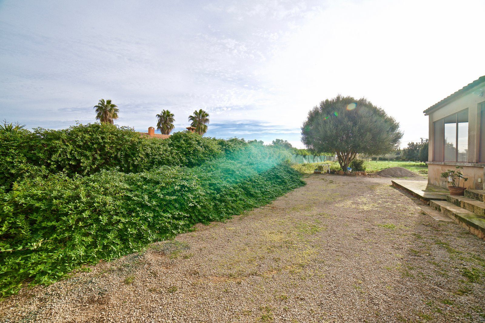 30-642-Villasyfincasmallorca.jpg Country House for Rent Near Ses Salines, Campos, Mallorca