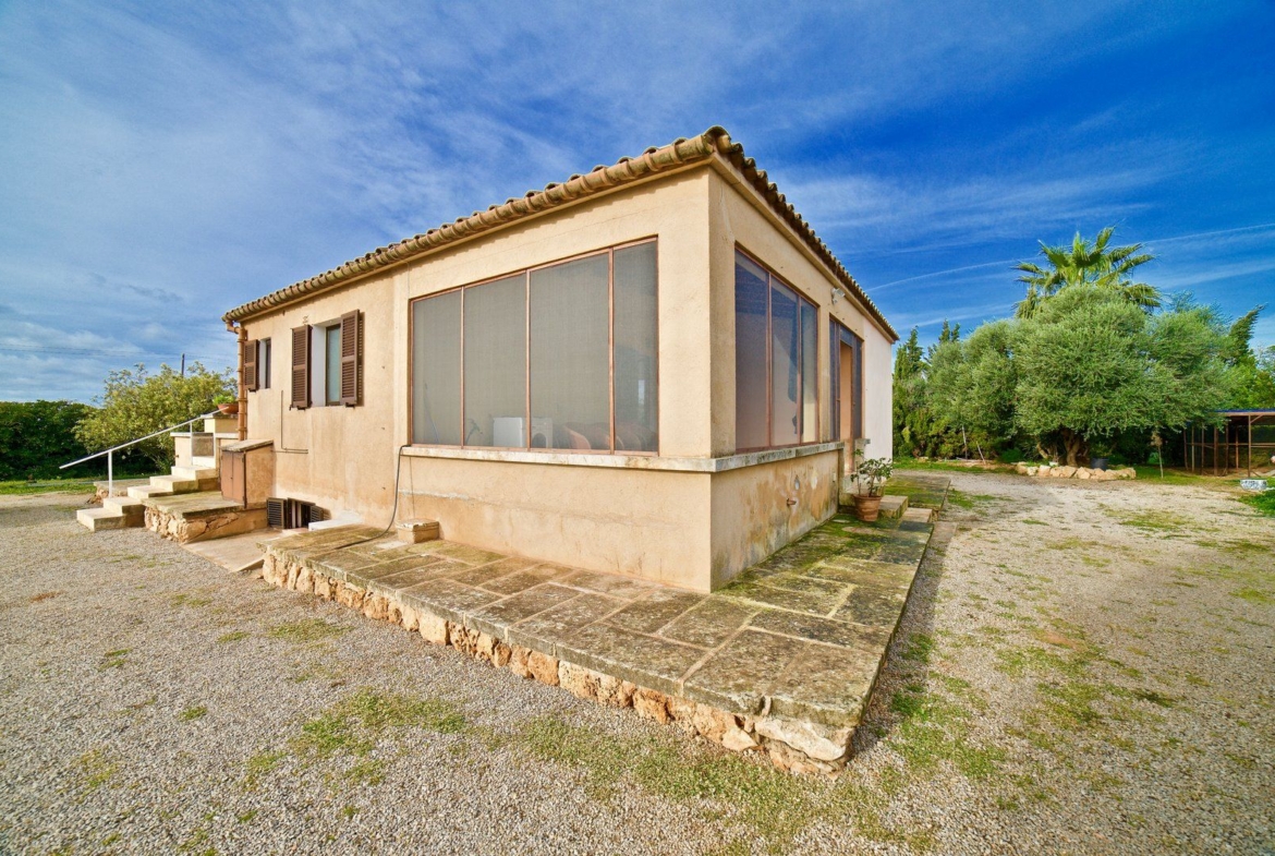 Country House for Rent Near Ses Salines, Campos, Mallorca