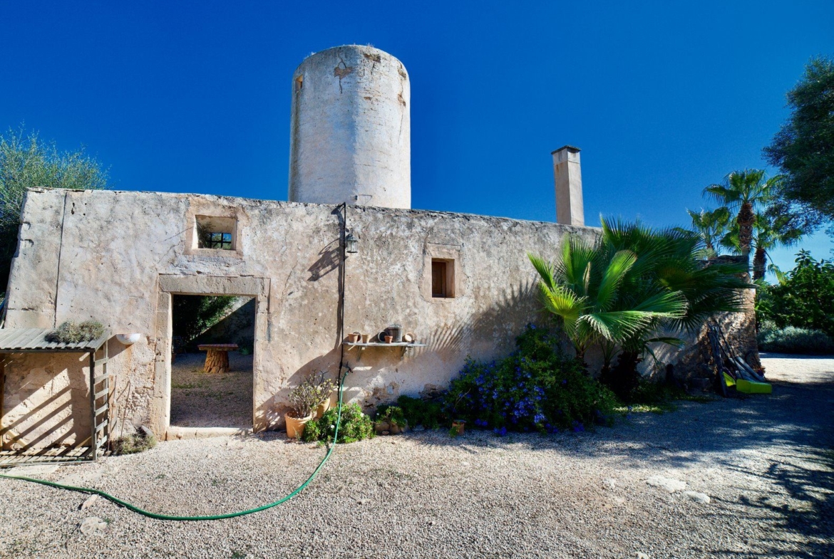 Restored Windmill with Garden, Pool & Guest House in Ses Salines