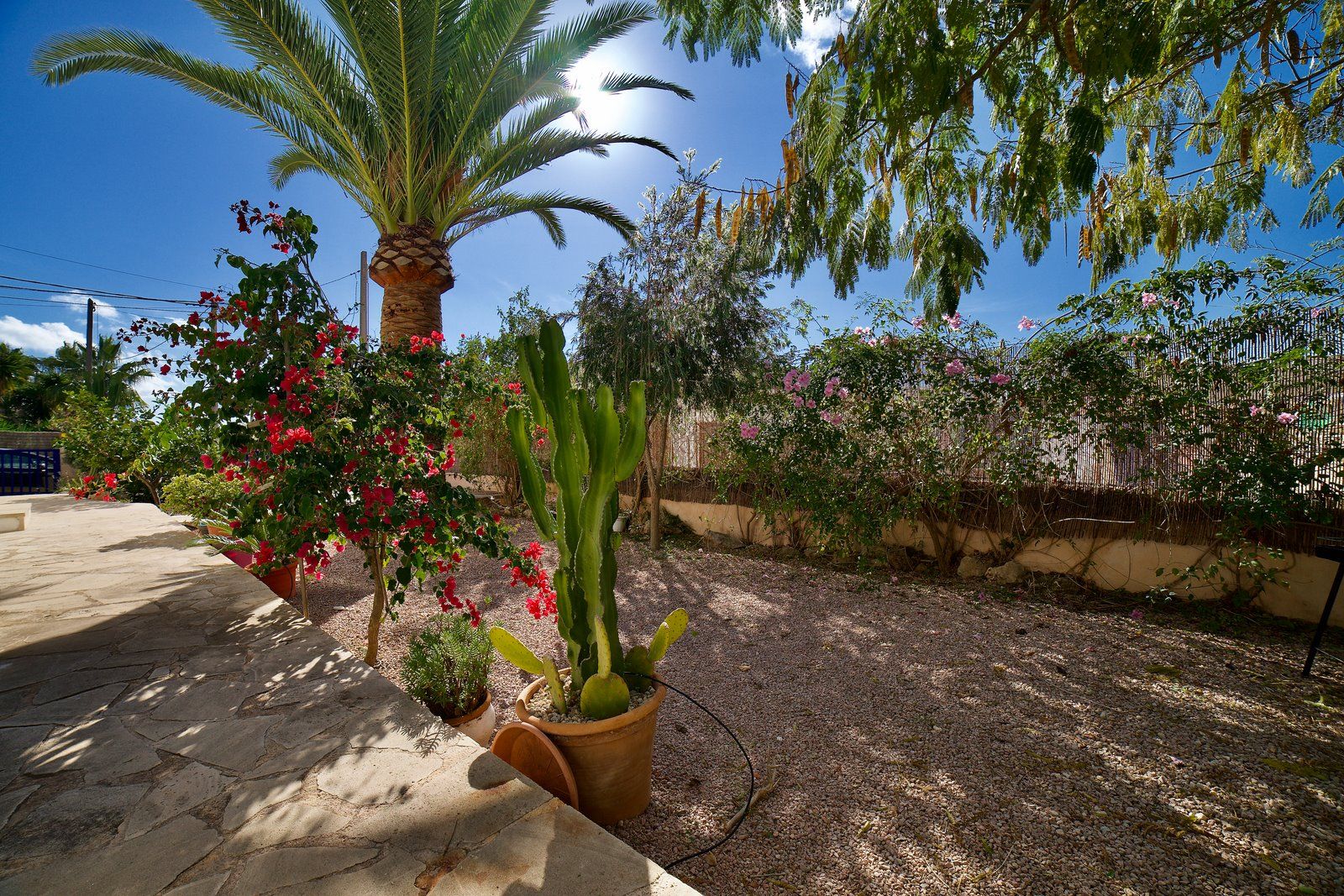 34-2033-Villasyfincasmallorca.jpeg Chalet amueblado en alquiler cerca de Cala Santanyí con jardín