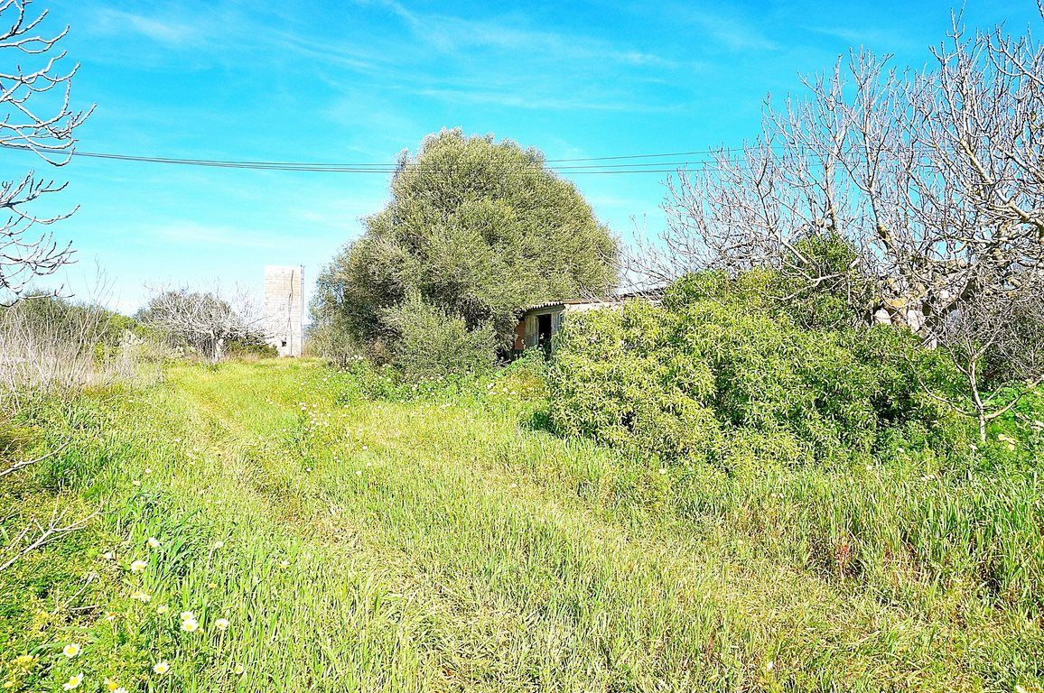 Casa de pueblo en Es Llombards, Santanyí – 4 hab. y 5.928 m² de parcela