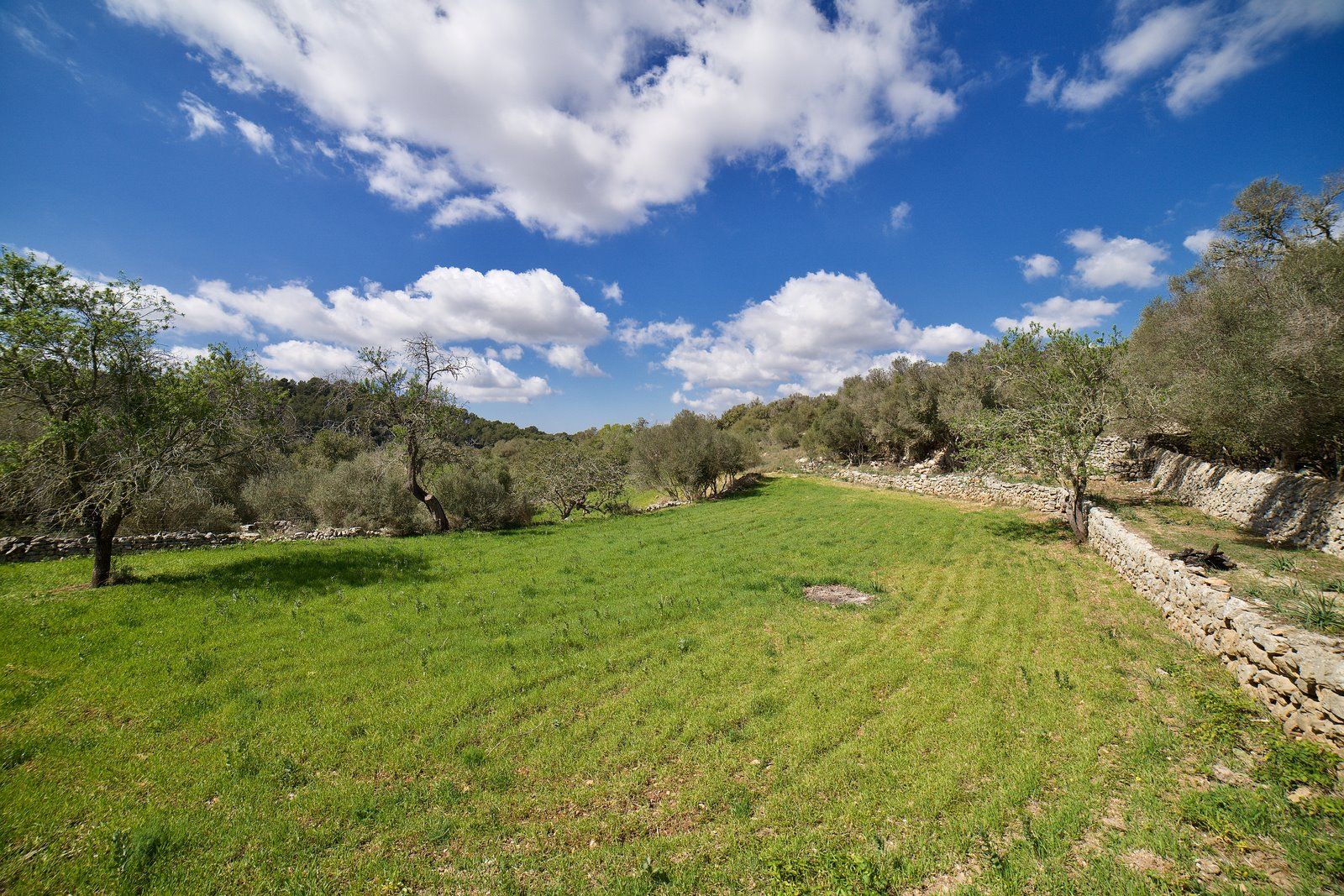 Centuries-Old Stone Farmhouse for Sale Near Es Carritxó, Felanitx