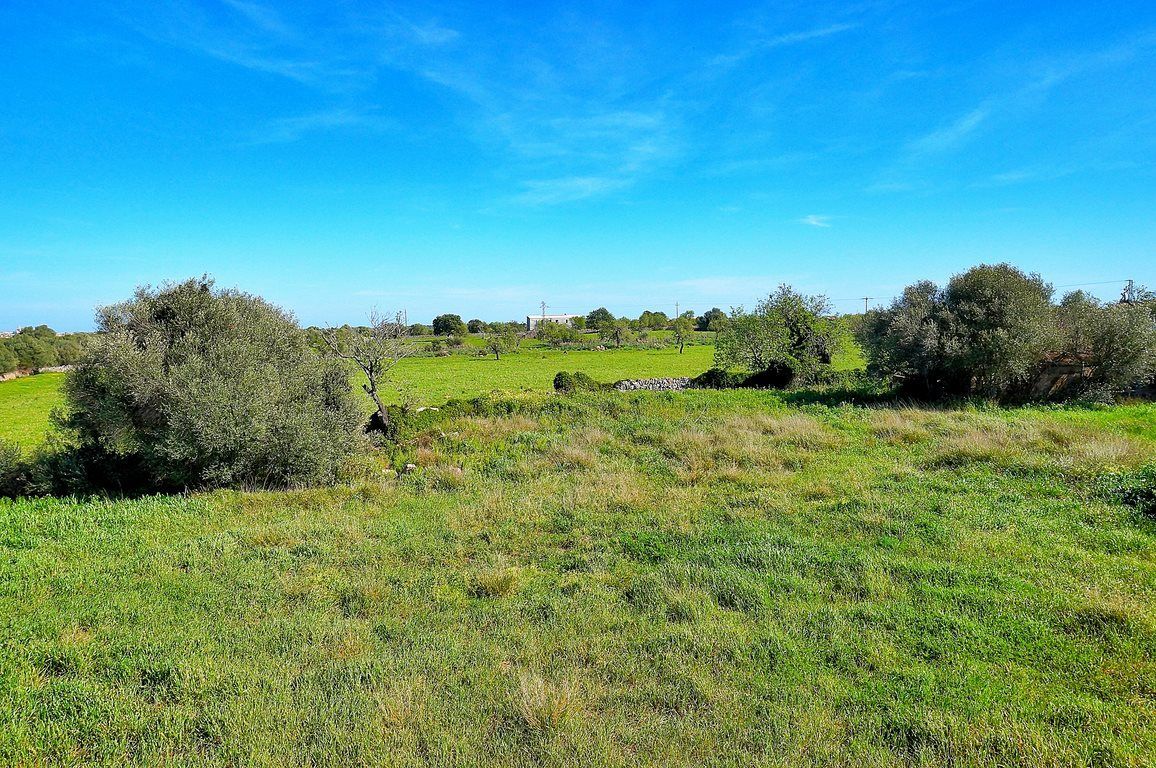 Casa de pueblo en Es Llombards, Santanyí – 4 hab. y 5.928 m² de parcela