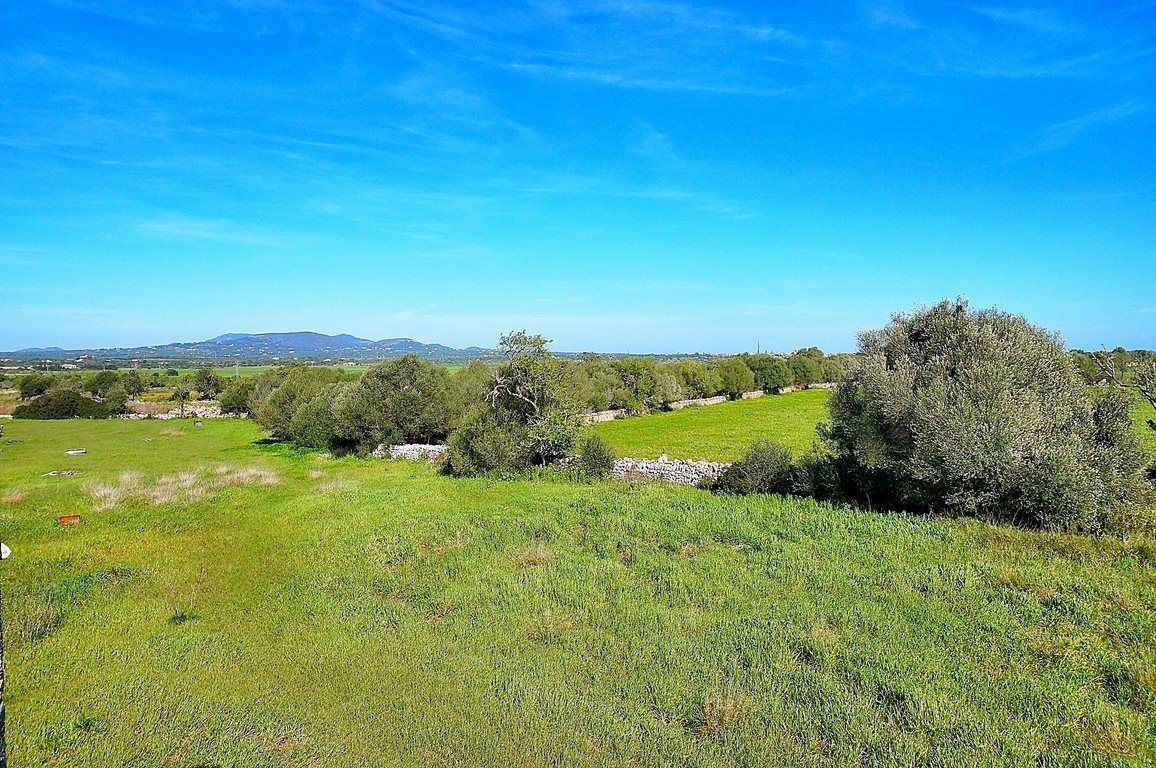 Casa de pueblo en Es Llombards, Santanyí – 4 hab. y 5.928 m² de parcela