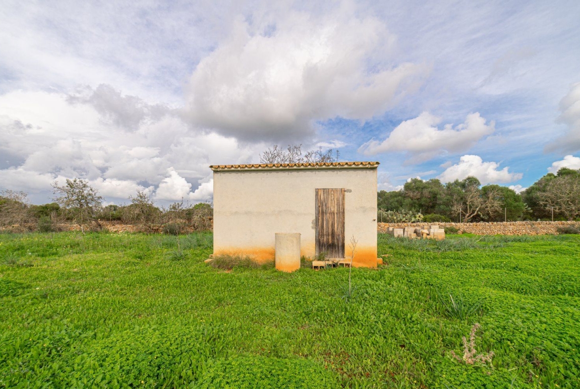 Country Cottage with Large Plot Near Ses Salines, Santanyí