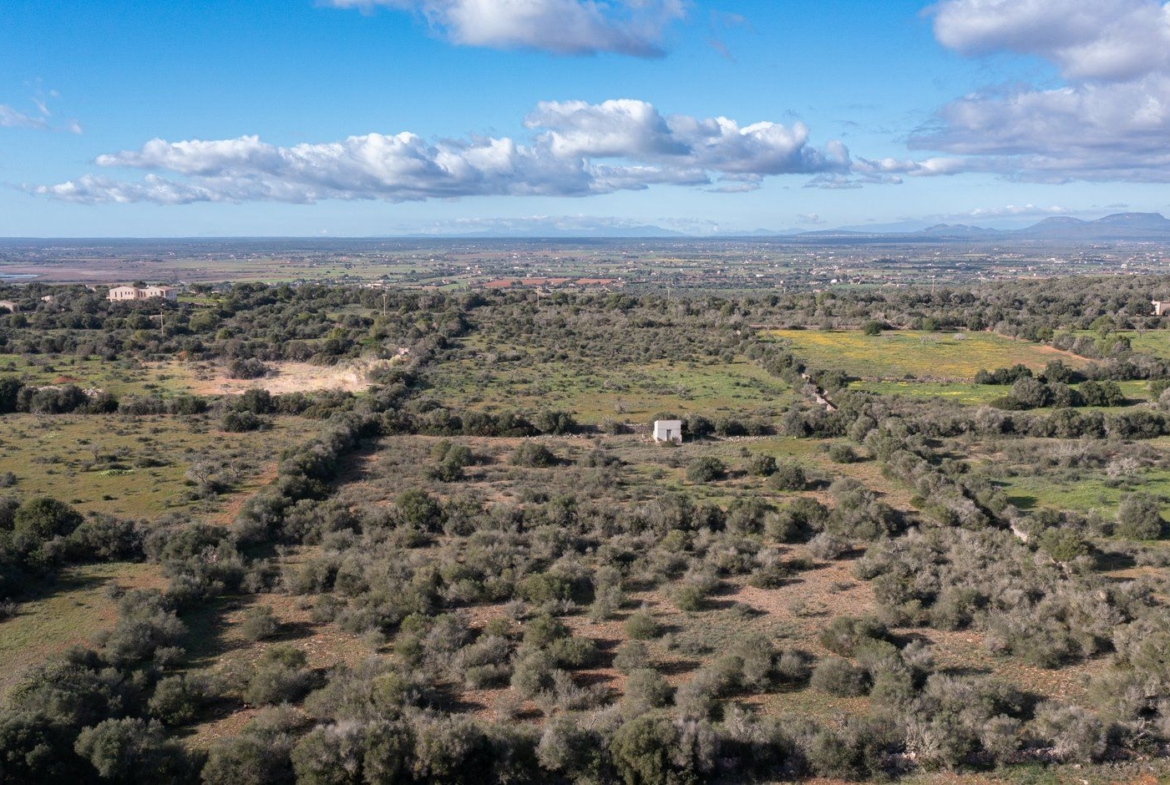Baugrundstück 14.100 m² bei Ses Salines, Südmallorca