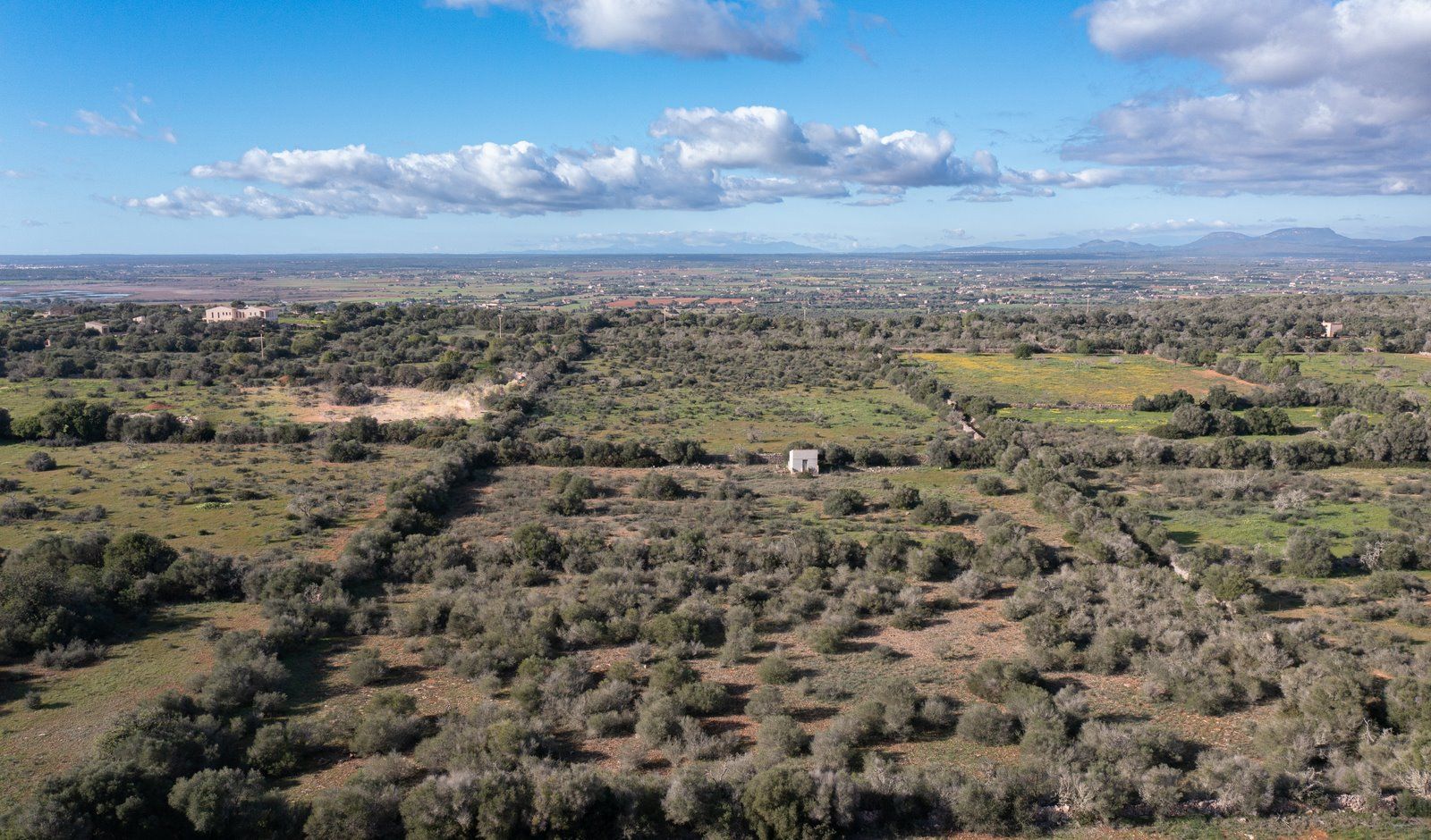Baugrundstück 14.100 m² bei Ses Salines, Südmallorca