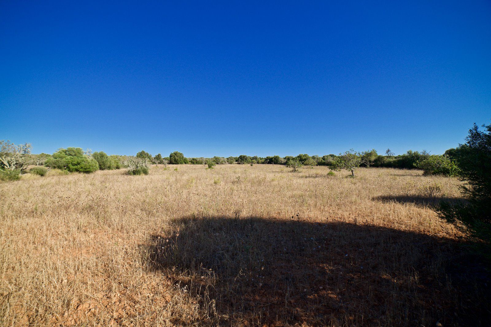 4-2007-Villasyfincasmallorca.jpg Terreno edificable de 23.000 m² cerca de Ses Salines