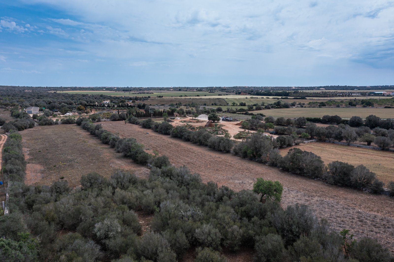 Baugrundstück 26.000 m² bei Ses Salines, Südmallorca