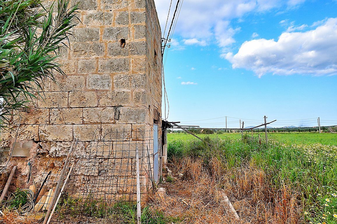 Rustic Finca with Windmill Tower Near Ses Salines