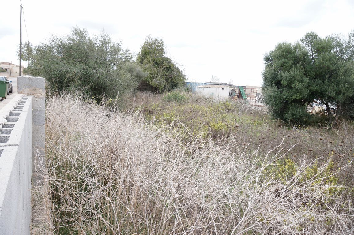 Solar urbano en venta en Ses Salines, sureste de Mallorca