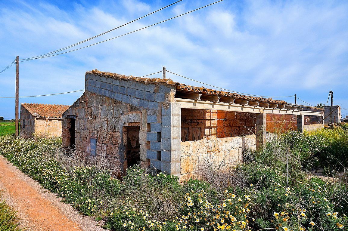 Casa de campo junto a Ses Salines con gran parcela