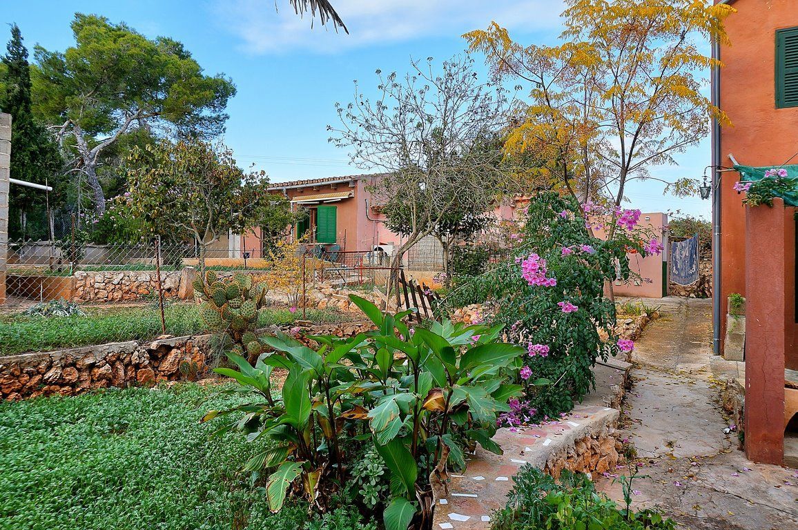 Dual-Unit House 450 m from Cala Mondragó Beach, Santanyí