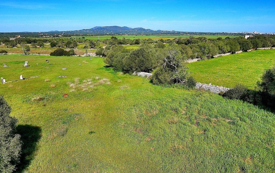 Casa de pueblo en Es Llombards, Santanyí – 4 hab. y 5.928 m² de parcela