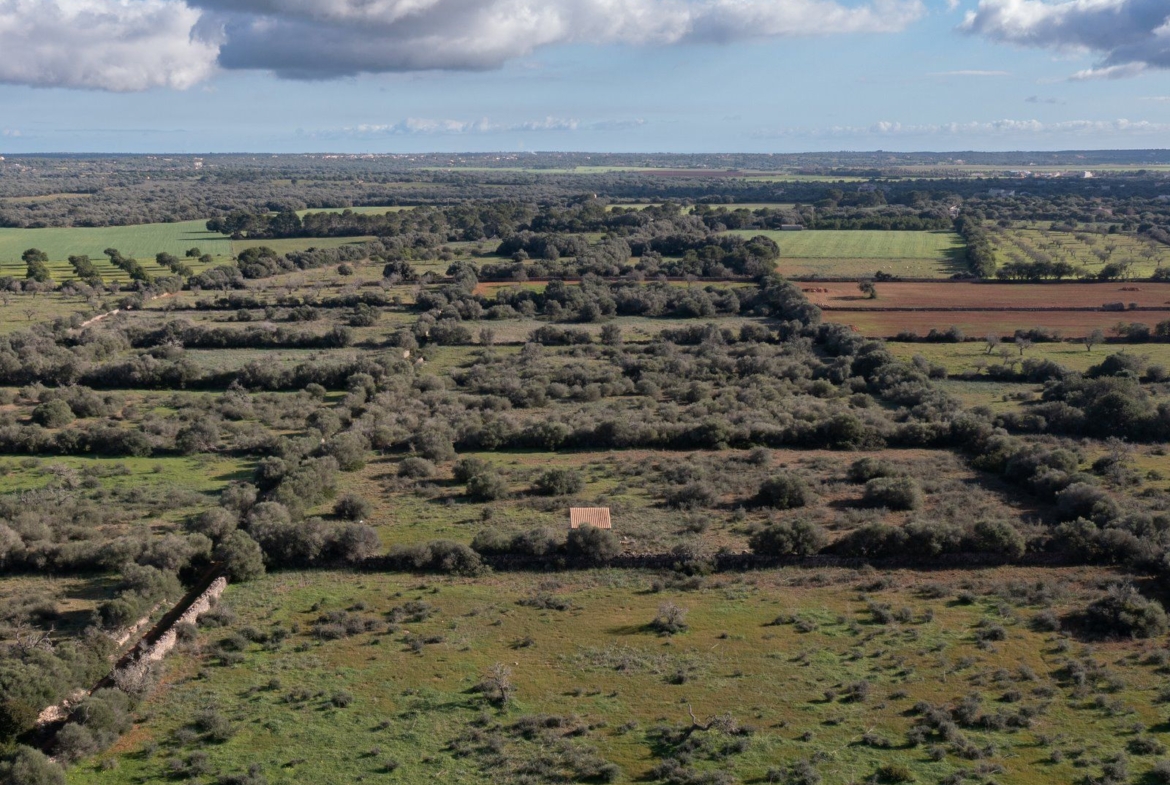 Baugrundstück 14.100 m² bei Ses Salines, Südmallorca