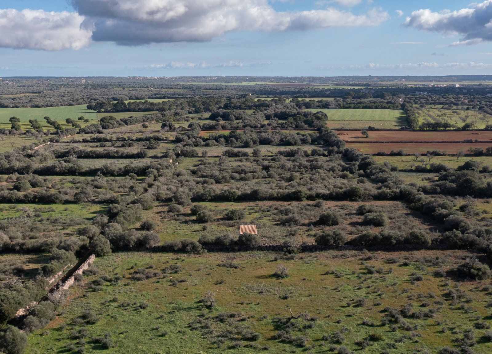Baugrundstück 14.100 m² bei Ses Salines, Südmallorca