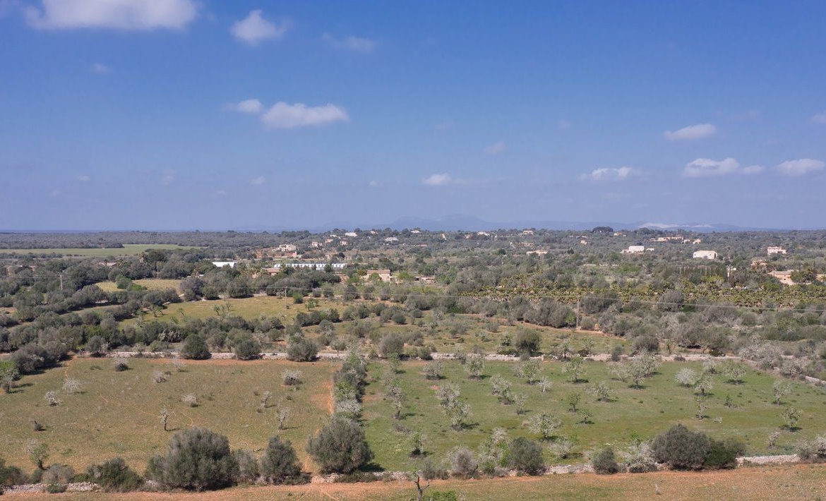 Terreno edificable de 23.000 m² cerca de Ses Salines