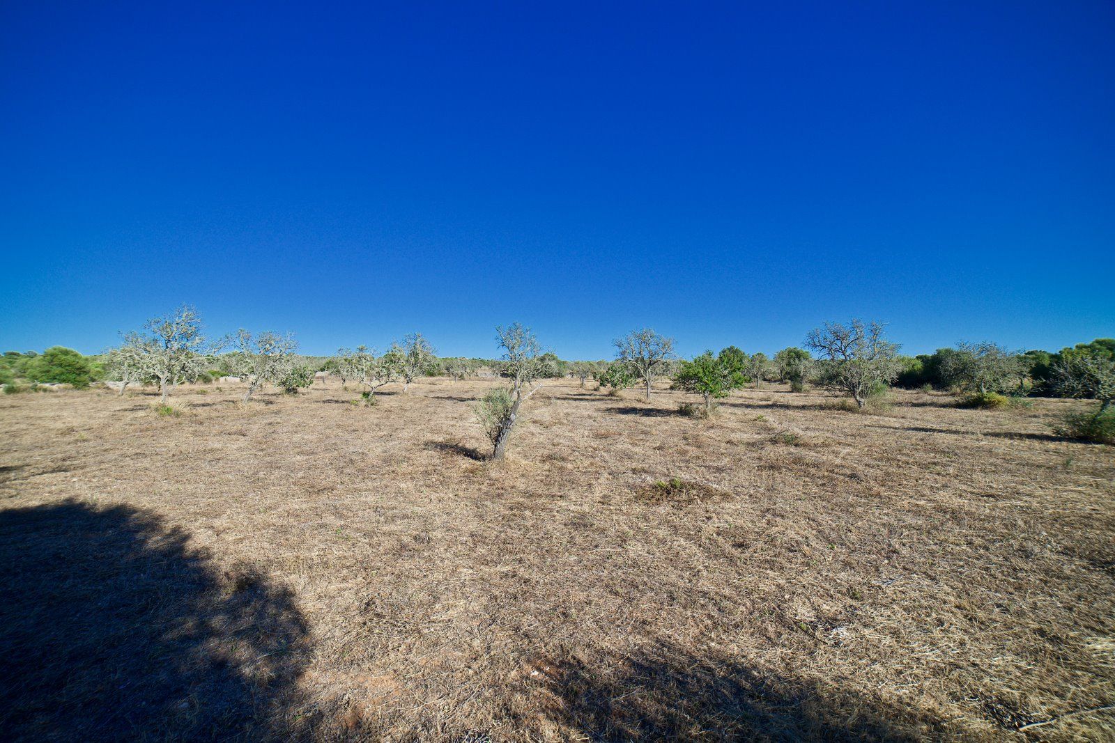 5-2007-Villasyfincasmallorca.jpg Terreno edificable de 23.000 m² cerca de Ses Salines
