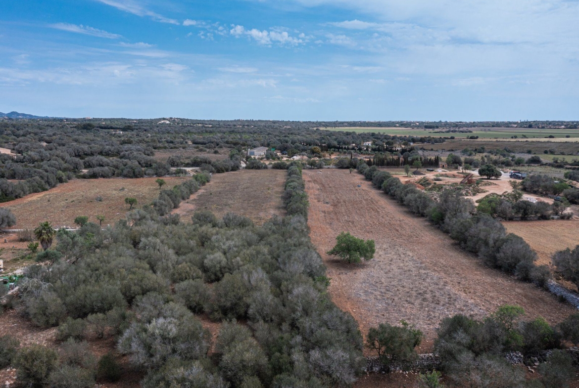Baugrundstück 26.000 m² bei Ses Salines, Südmallorca